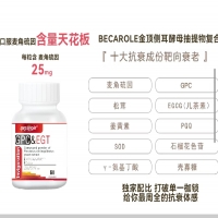麦角流因